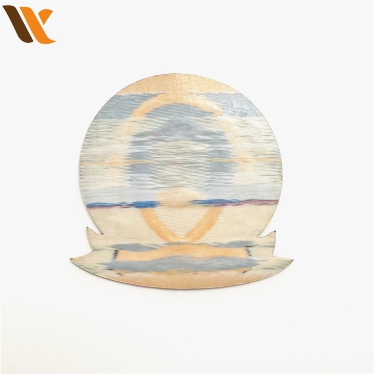 Wholesale Variety of College Woven Patche 3